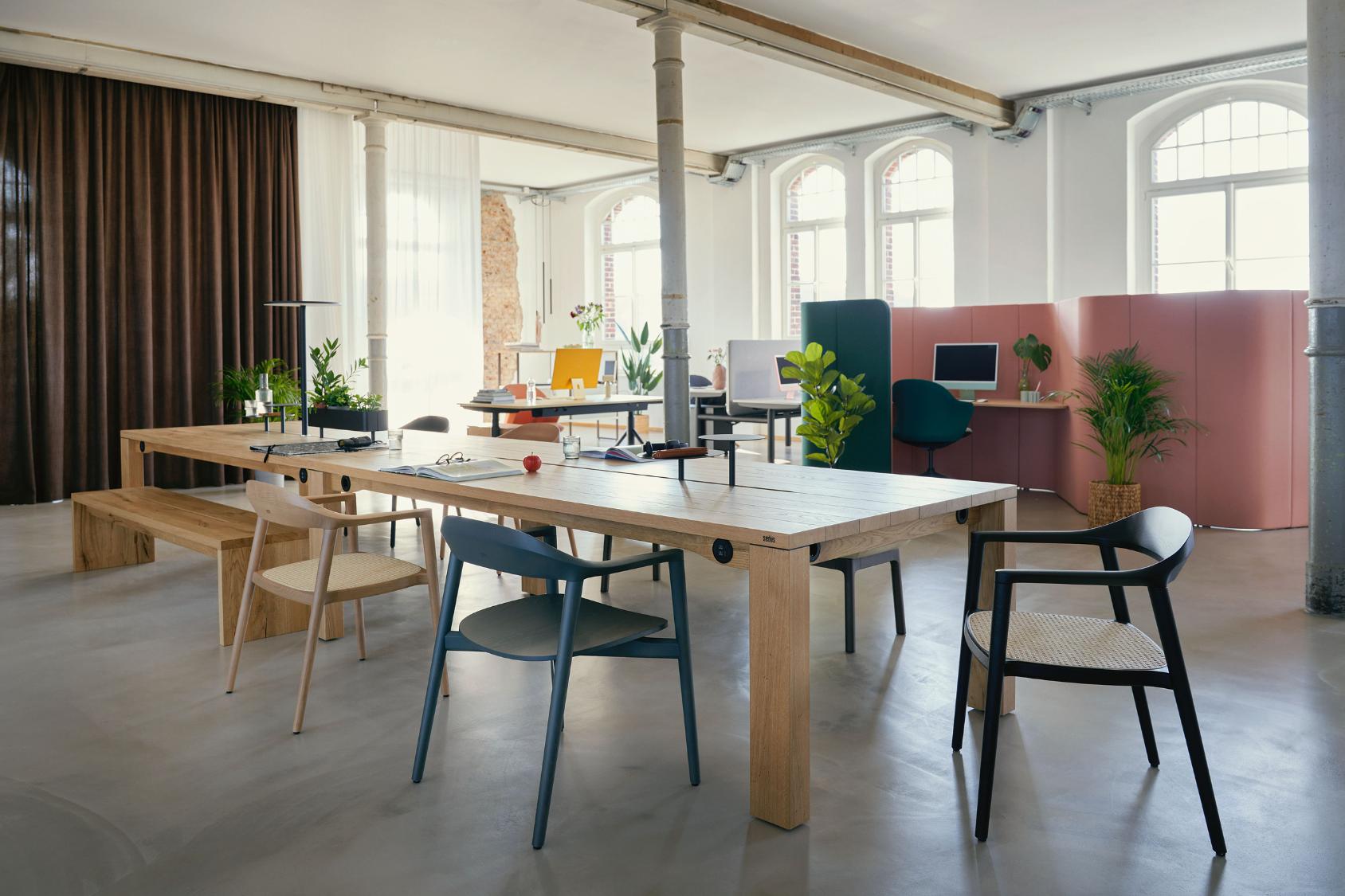 Moderner Arbeitsraum mit mehreren se:café wooden chairs in natürlichem Holzton und schwarzer Lackierung, kombiniert mit großen Holztischen und Pflanzen
