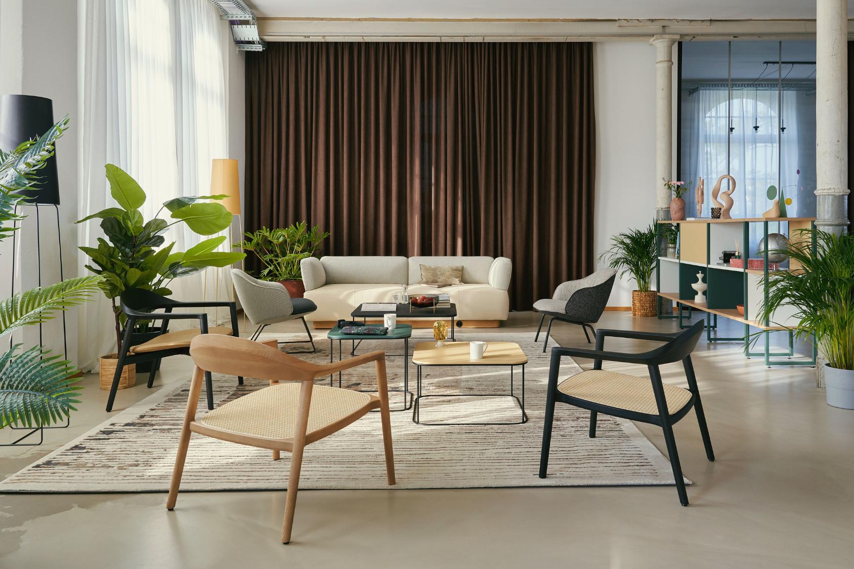 se:café wooden chair in hellem Holz und schwarzer Ausführung in modernem Wohnzimmer mit Sofa, Teppich und Pflanzen