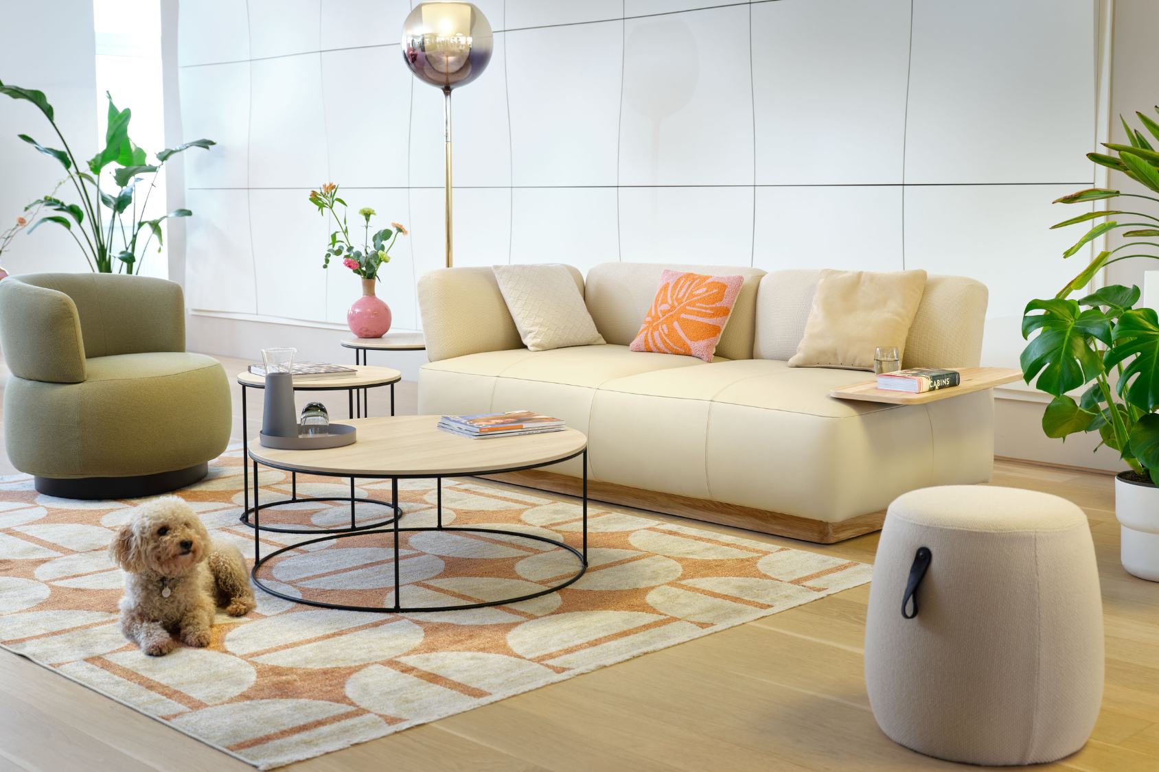 se:living Sofa in hellem Beige mit klaren Linien und niedrigem Profil, modernes Design mit weichen Polstern, dekoratives Kissen mit orangefarbenem Blattmuster, runder Couchtisch mit Holzplatte, kleiner Hund auf gemustertem Teppich
